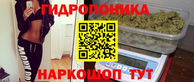 кокс Кинель