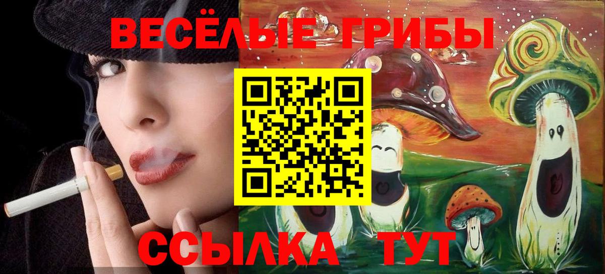 Ивантеевка  Галлюциногенные грибы мухоморы  Вход с VPN 